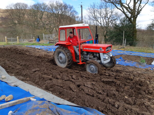 red tractor ploughing croft