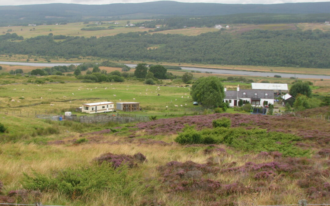 Crofting Federation Presses for Bolder Land Reform