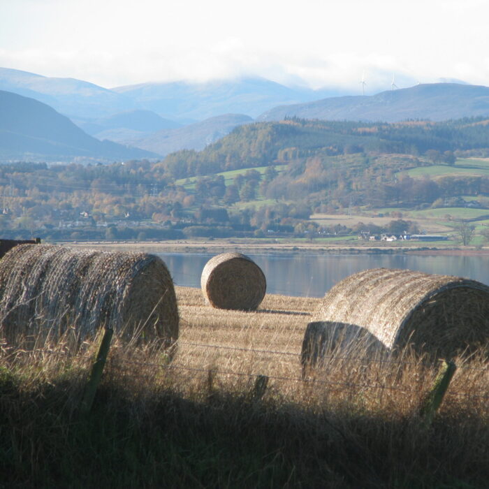 hay bales in croft