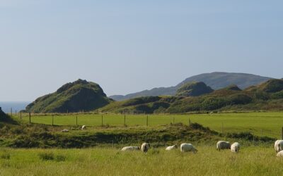 SCF Response to Crofting Bill Consultation