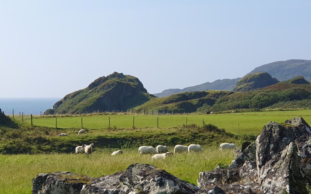 Report demonstrates that crofting is a truly valuable asset to Scotland