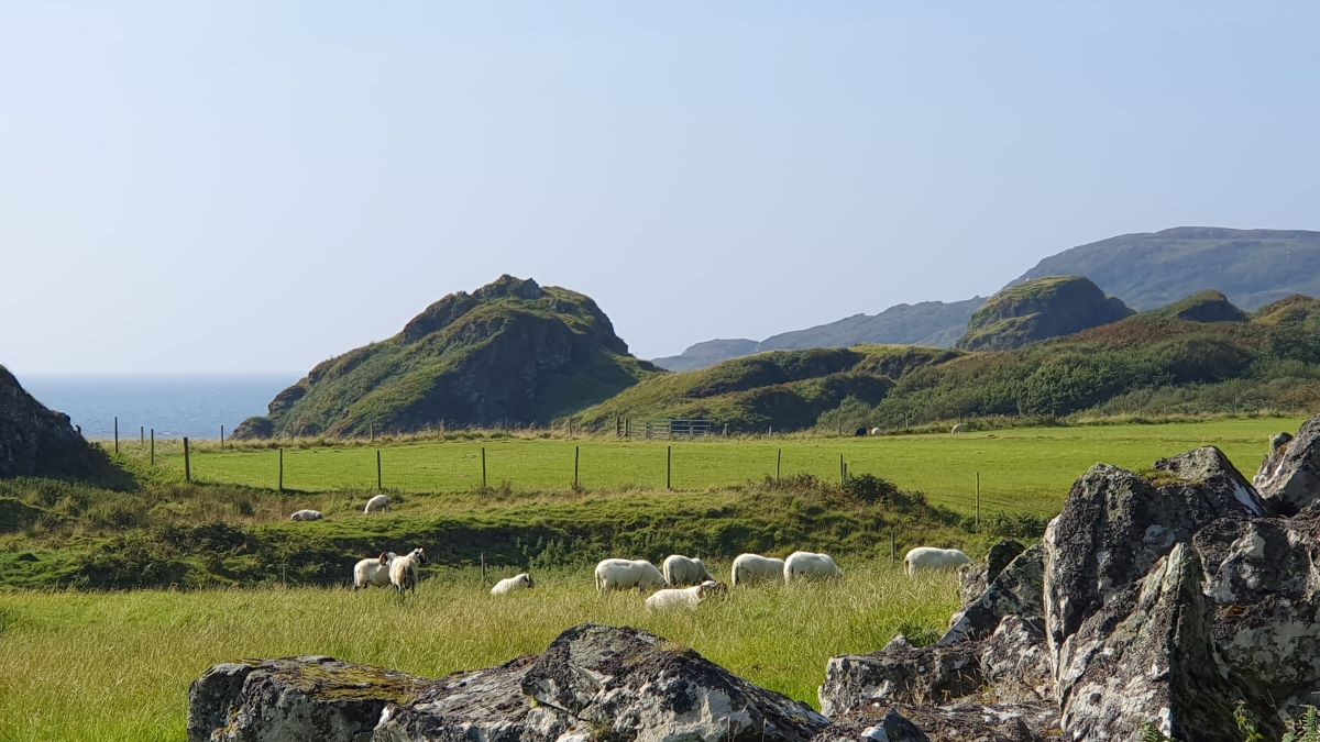 Press Release - Value of Crofting