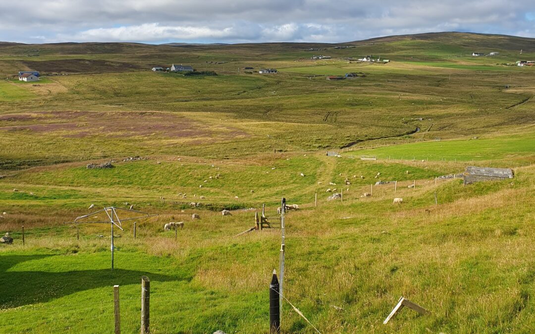 Scottish Crofting Federation delighted that KTIF funding will support crofters.