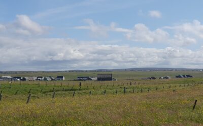 Scottish Crofting Federation “Crofting and Community Land Ownership” event takes  place in Stornoway!